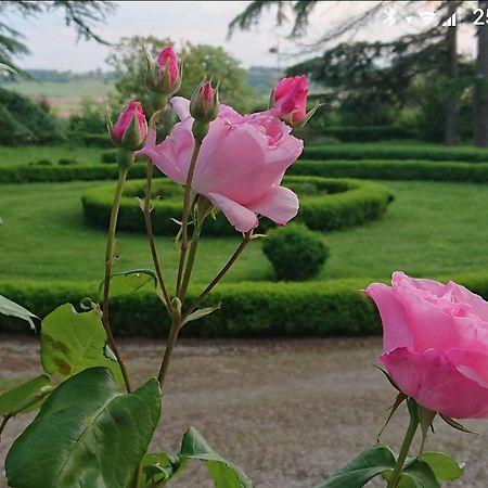 릴 주르당 Chateau De Clermont-Saves B&B 외부 사진