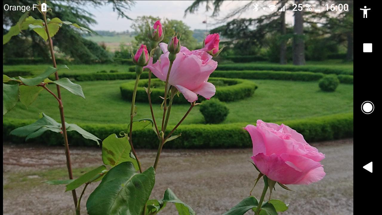릴 주르당 Chateau De Clermont-Saves B&B 외부 사진